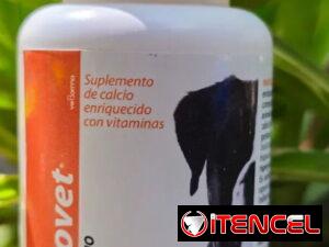 193f7b56ee0471afb32e2aed597c849c0417c8853cf1a6e1fc9f1a6cd602220a