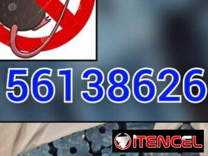 1a729b0e00c2287ae0f7209a2d562c9dd175b7dd78f737c026c08f3d9ef06be9