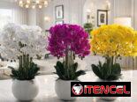Plantas artificiales