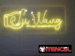 Carteles Lumicos Flex