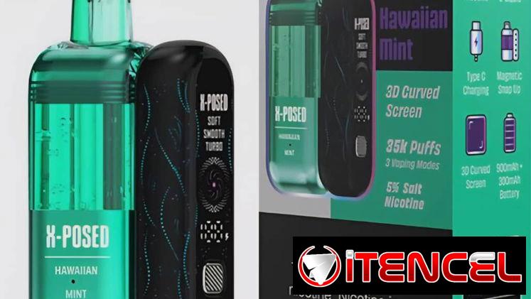 💨🔥 ¡LOS VAPERS MÁS TOP DEL MOMENTO! 🔥💨