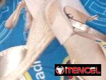 Sandalias europeas