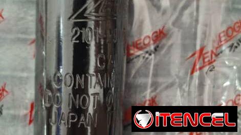 Pareja de Amortiguadores delanteros con sus bujes nuevos en su naylon