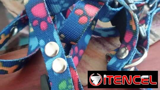 Pechera para perros
