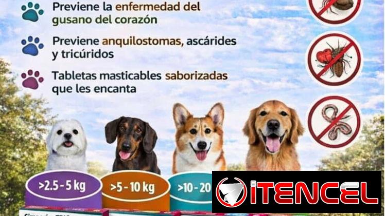 Simparica trio