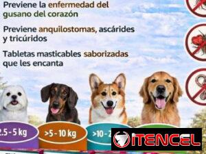 1cb034663468d701802ff11c994bf72749227c28b25713ea76e277efc34aaf82-5