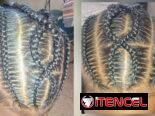 Trenzas y Definición de Rizos