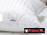 Almohada Ortopédica marca Ceasar Palace (th)