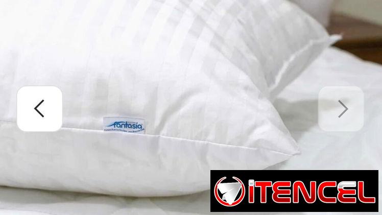 Almohada Ortopédica marca Ceasar Palace (th)