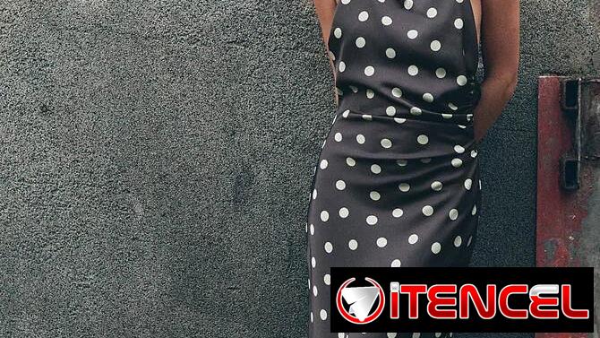Mono y Vestidos Zara