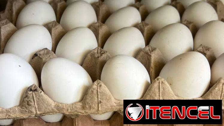 Huevos