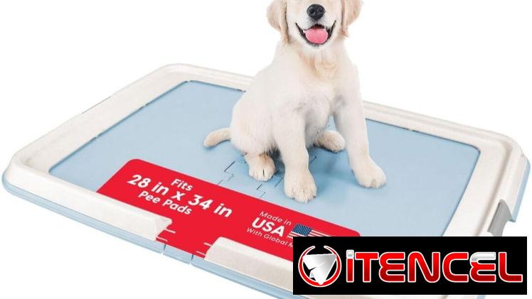 Soporte  Para Mascotas