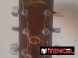Guitarra contry cuerdas de acero