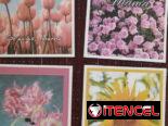 Postales para Mamá, tarjetas para las Madres, regalos