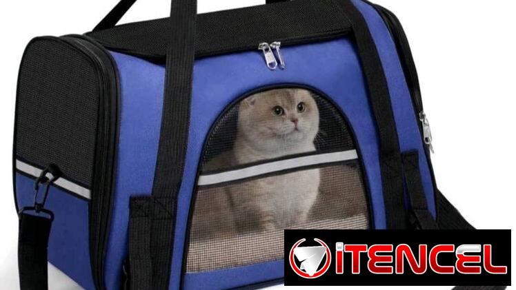 Transportadoras semirrígidas