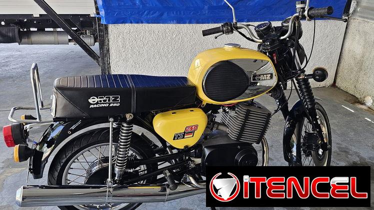 Ts 250