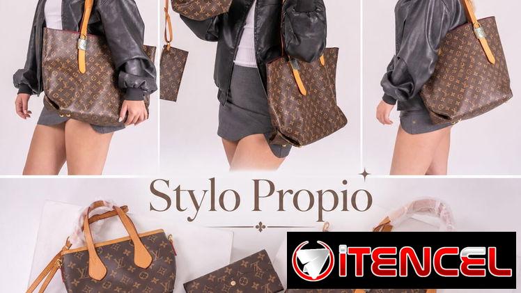 Carteras Luis Vuitton