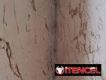 Planchas de mármol a 14mil pesos y mano de obra 10mil por cada plancha trabajada color crema