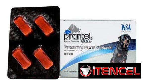 Prantel plus