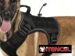 Arnés o pecheras para perros