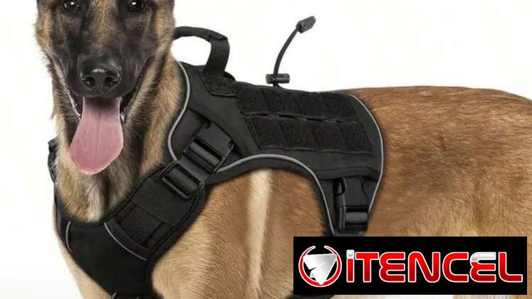 Arnés o pecheras para perros