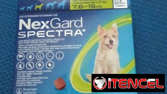 Antiparasitario para perros