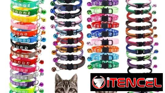 Tienda de artículos para mascotas.