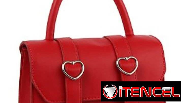 Carteras y bolsos para ocasiobes
