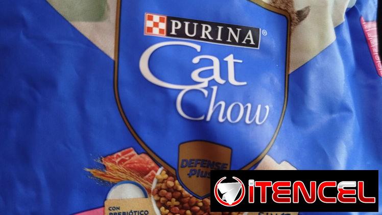 Comida para gatos