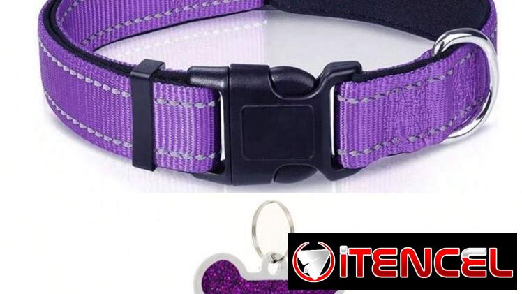 Collares con chapilla