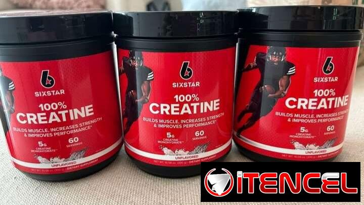 CREATINA MONOHIDRATADAS AMERICANAS 55055685 ACEPTO CUP