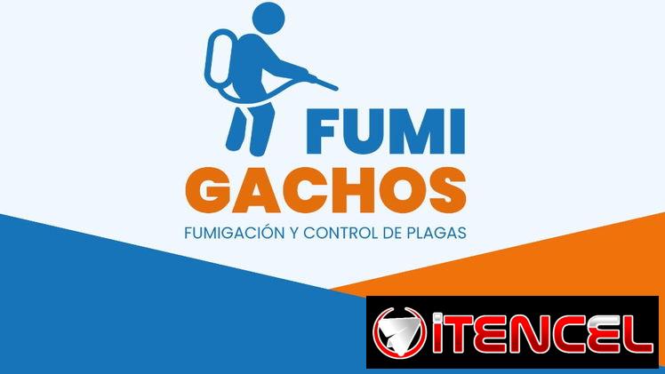 Fumigación- Control de plagas- Chinches
