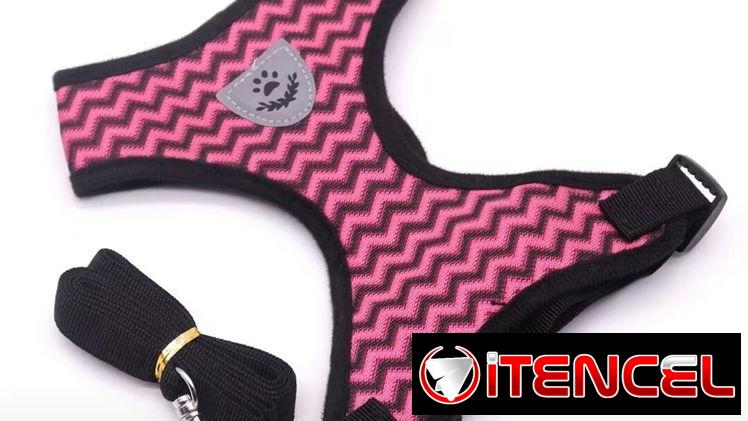 correas con pecheras