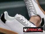 Tenis