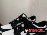 Tenis
