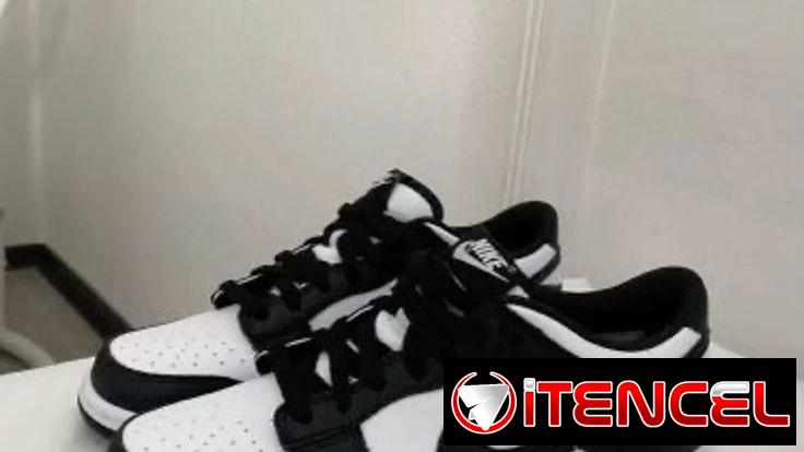 Tenis