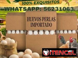 22dba181259b5fc04d782c251372b44fbbc7732770b8909409bcf6ae6e3e06b8
