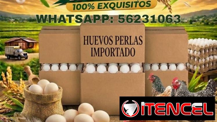 Huevos perlas