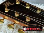 Acoustic Guitar New model Solid Cedar Top, (Canadian brand)