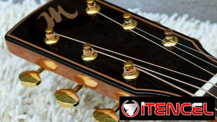 Acoustic Guitar New model Solid Cedar Top, (Canadian brand)