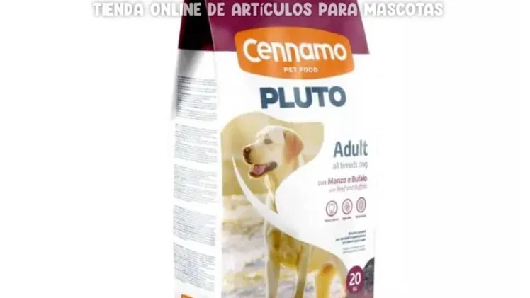 Pluto Adulto de Todos Los  Tamaños