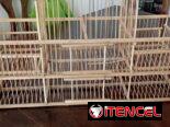 para palomas y aves
