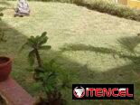 Jardinería y Limpieza de exteriores