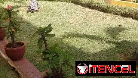 Jardinería y Limpieza de exteriores