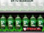 Detergente KAPITAL: ventas seguras al por mayor