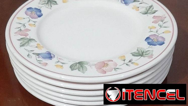 SE VENDEN PLATOS