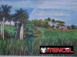 🎨 CUADRO PASTEL SOBRE PAPEL, PAISAJE RURAL CUBANO, AÑOS 90 📲 WhatsApp 55216339