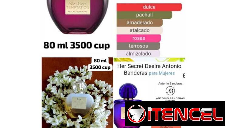Hugo Boss, Calvin Klein, Club de nuit, Antonio Banderas y más variedad de perfumes disponibles