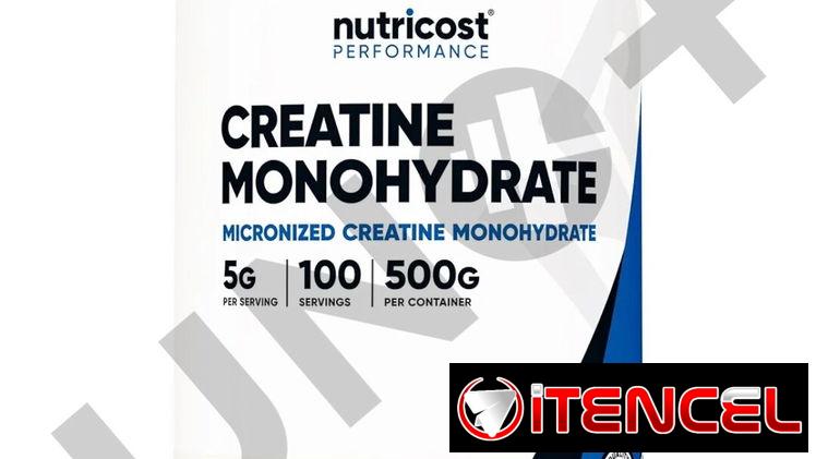Creatina Monohidratada 100 servings