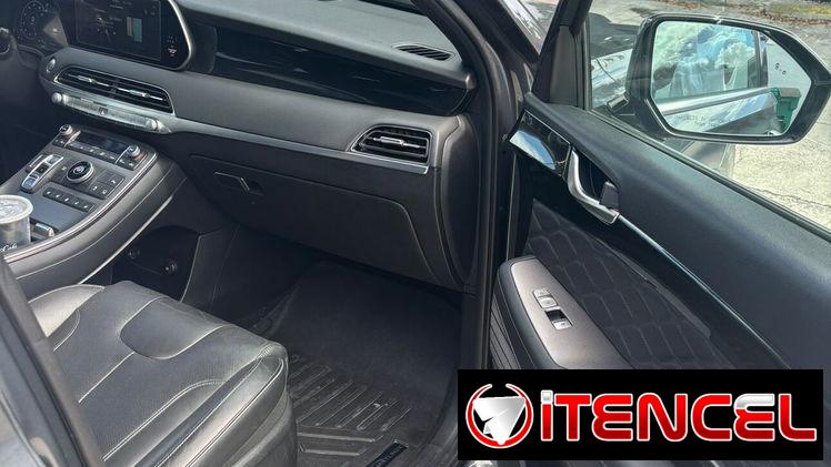 Vendo o negocio yhunday palisade  calligraphy del 2022 nuevo de paquete em carro sin Defecto